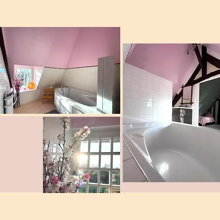 Le Du Haras De Deauville *